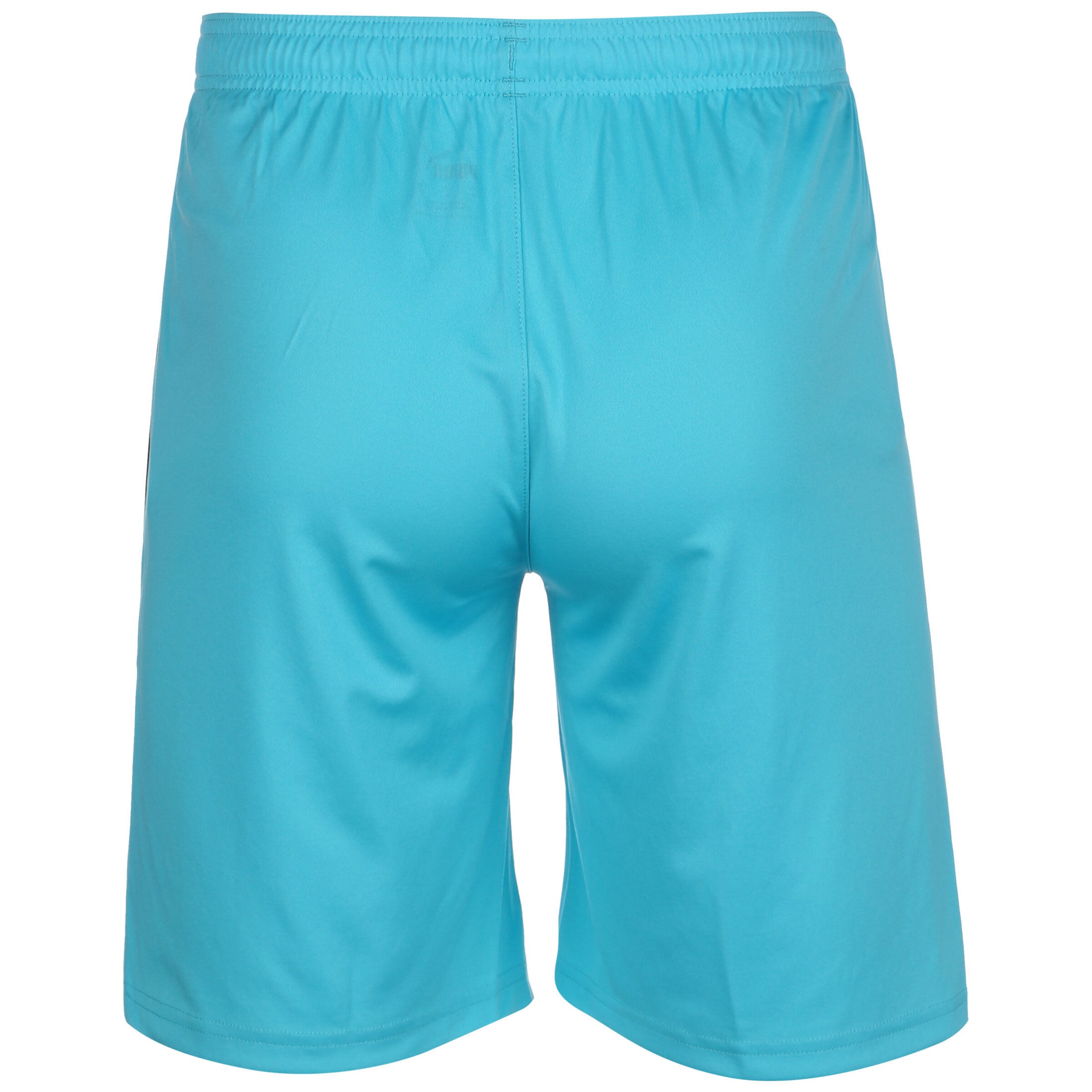 PUMA Regular Workout Pants 'Team Liga' in Blue