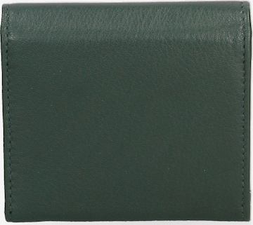 Sergio Valentini Wallet in Green: front