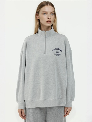 Hiccup Sweatshirt in Grau