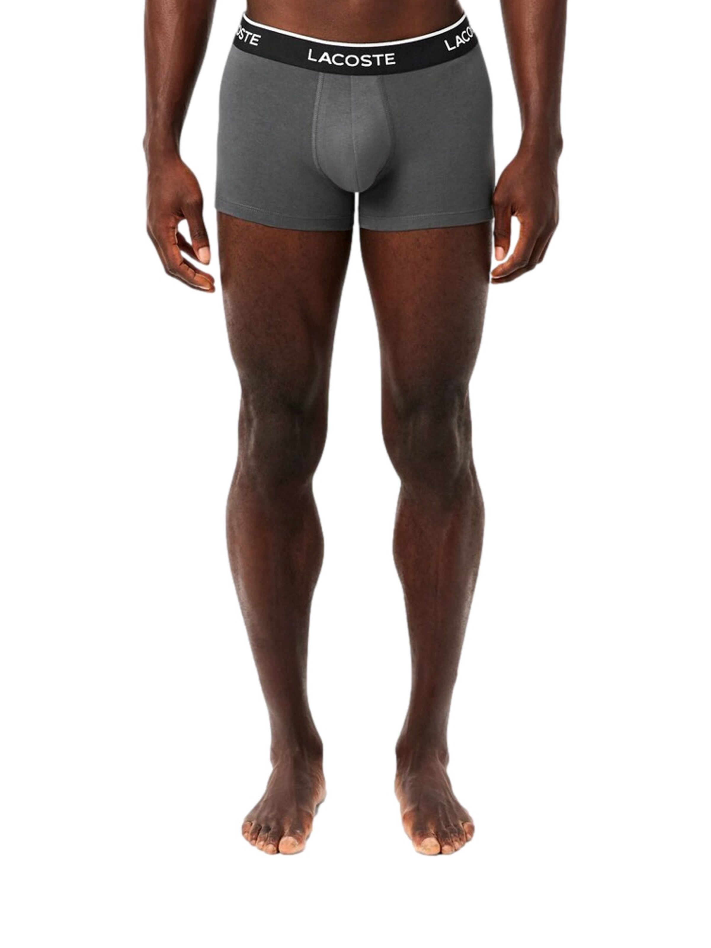 LACOSTE Boxershorts in Grijs