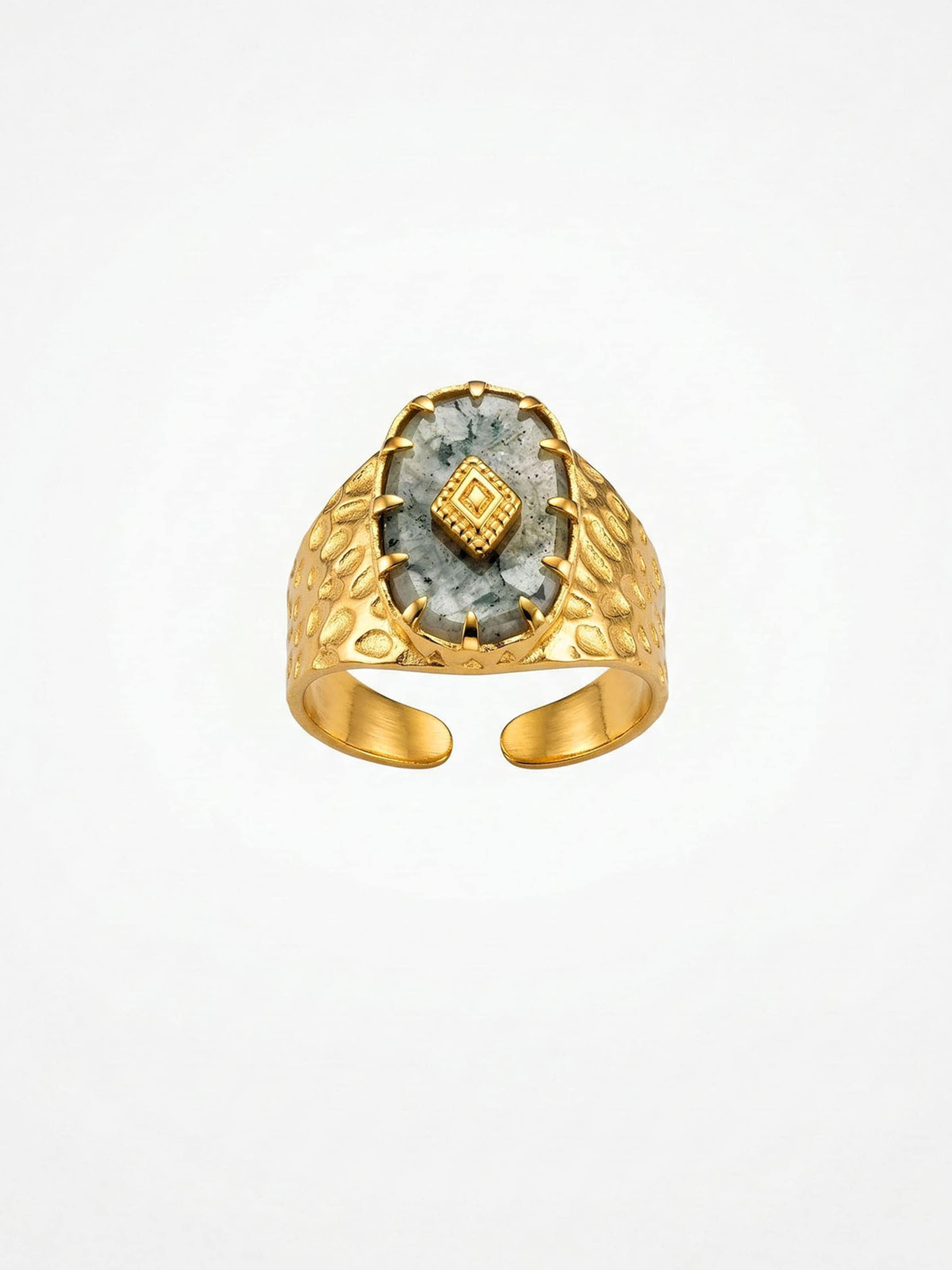 Nemomatheo Ring 'Mystic Relic – Breiter Ring mit Moos-Achat'‌‌‌‌ in Gold: Vorderseite