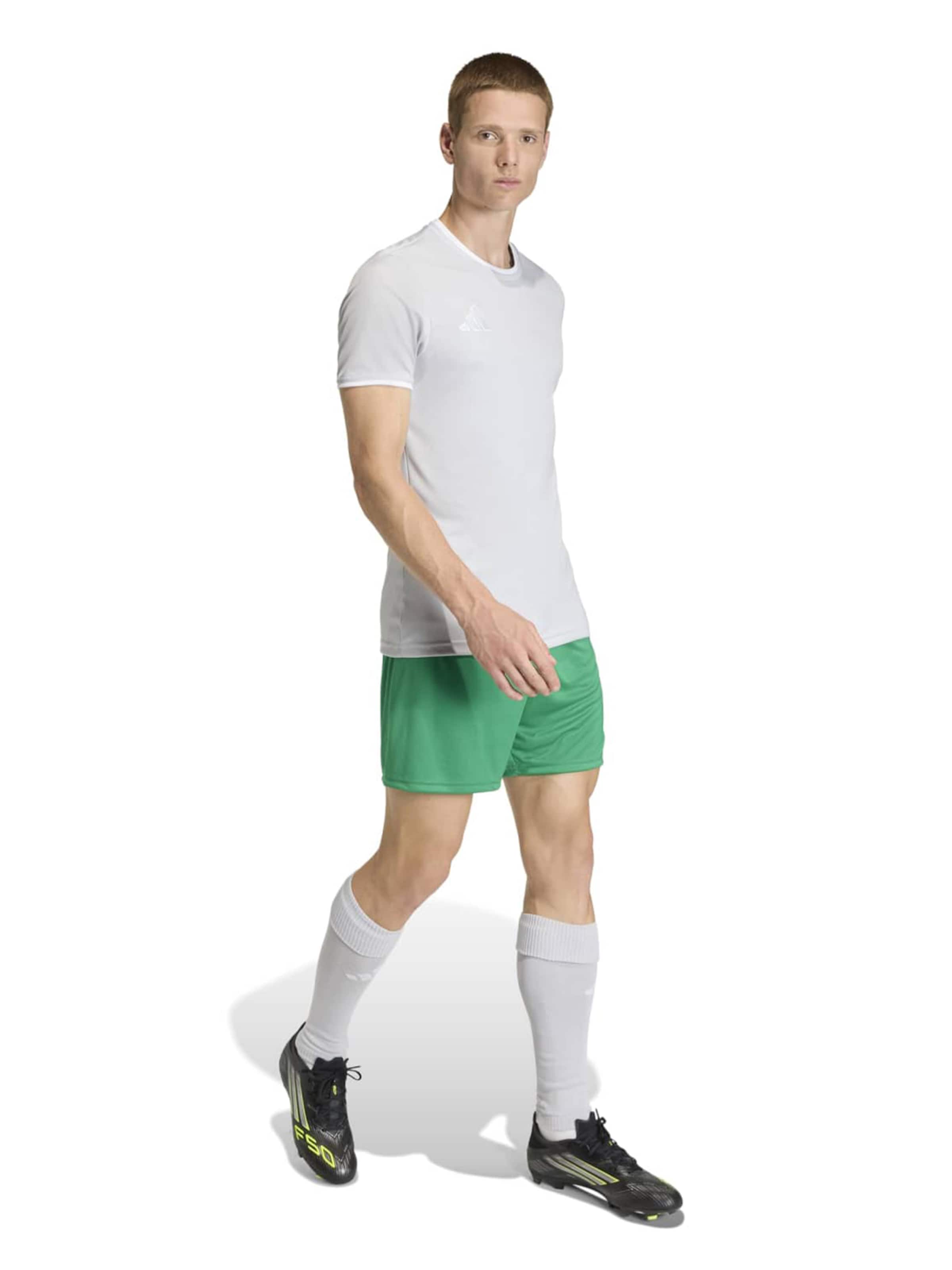 ADIDAS PERFORMANCE Funkcionalna majica 'ENT26' | siva barva