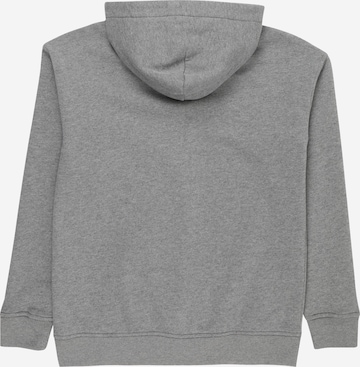 Abercrombie & Fitch Zip-Up Hoodie 'ESSENTIAL' in Grey