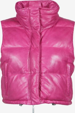 FREAKY NATION Bodywarmer 'Dreamy' in Roze: voorkant