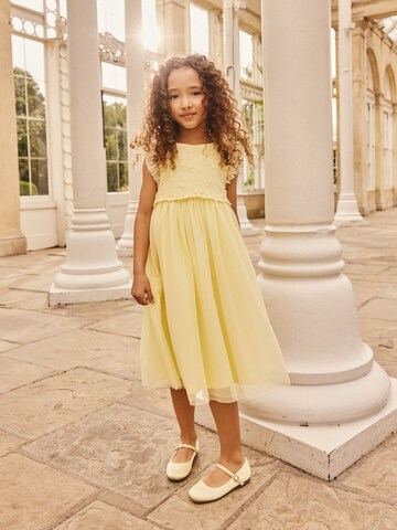 Next Kleid in Gelb: Vorderseite