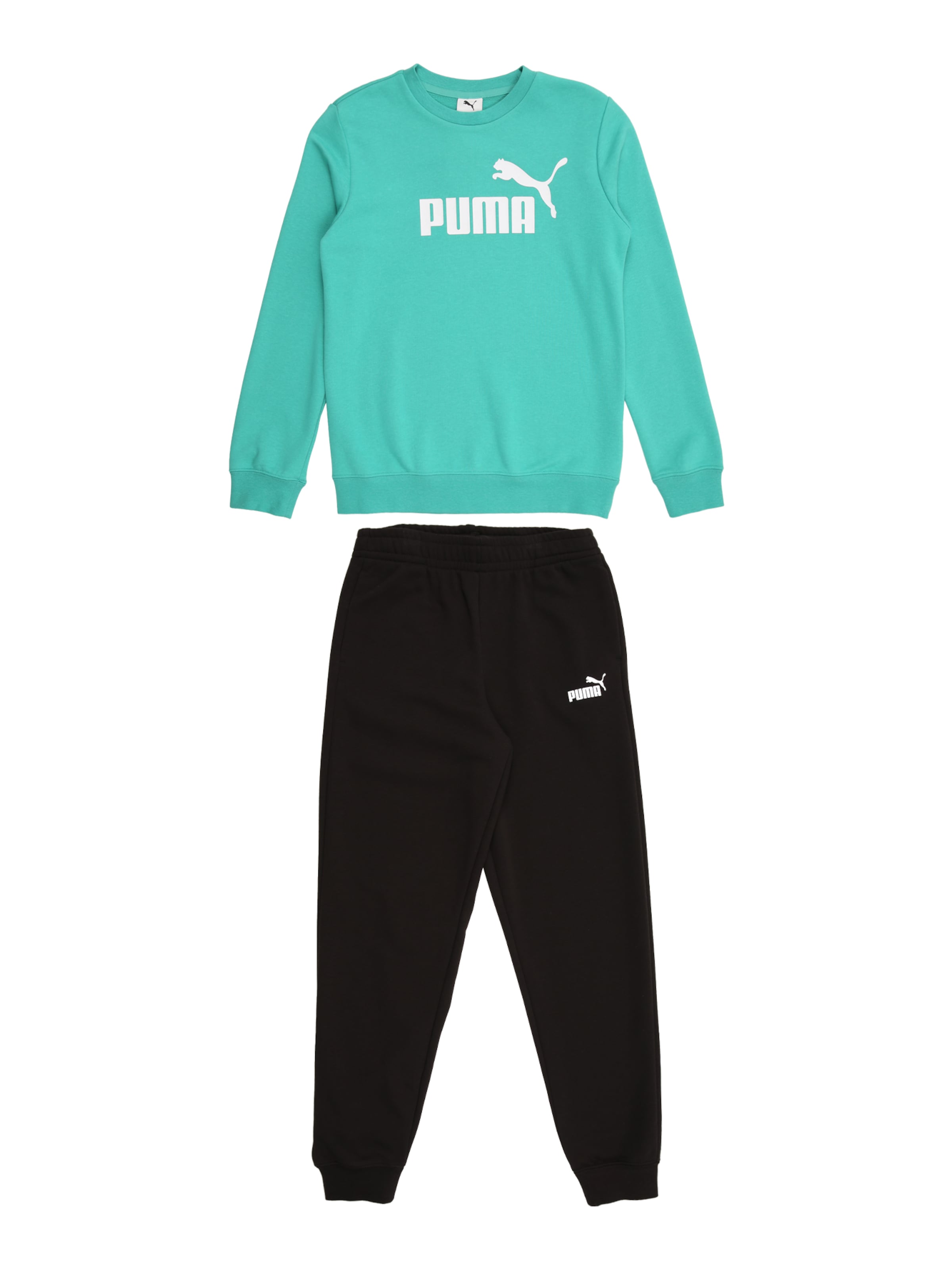 PUMA Joggingpak 'ESS No.1' in Groen: voorkant