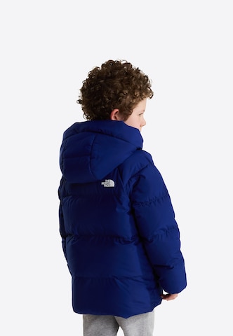 THE NORTH FACE Куртка в спортивном стиле в Синий