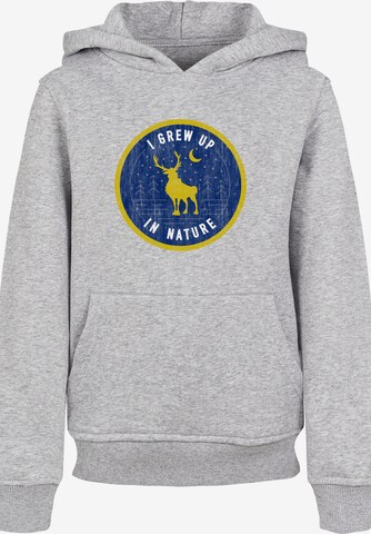 F4NT4STIC Sweatshirt in Grey: front