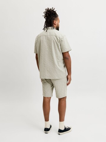 regular Pantaloni di JACK & JONES in verde