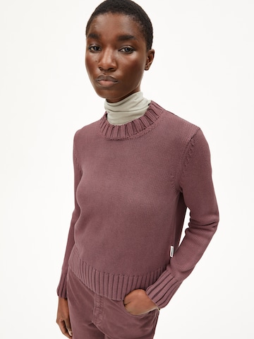 ARMEDANGELS Strickpullover AMALIAAS GMT DYE in Lila: Vorderseite