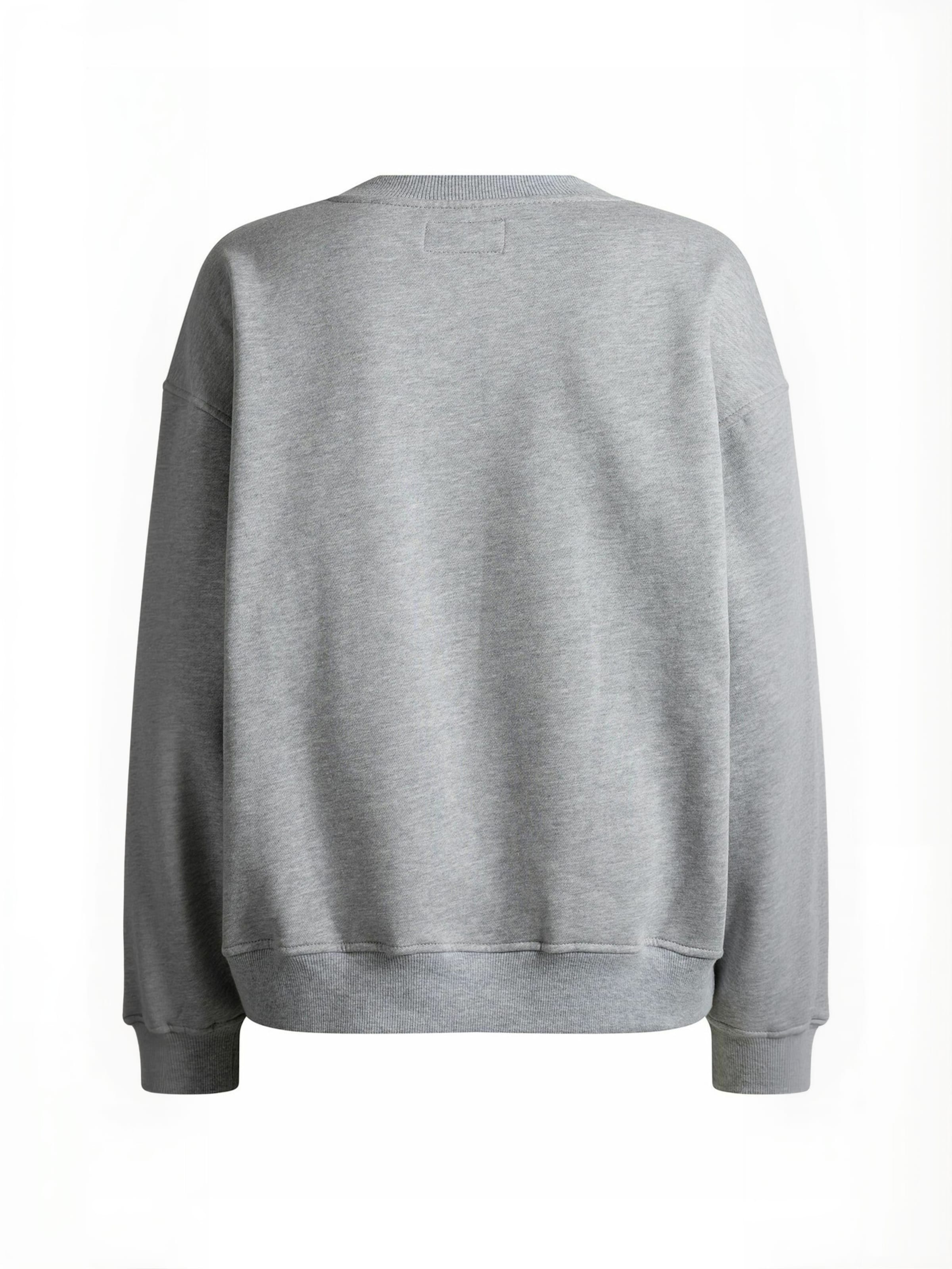 Pull-over ' Angal ' Copenhagen Cartel en gris : derrière
