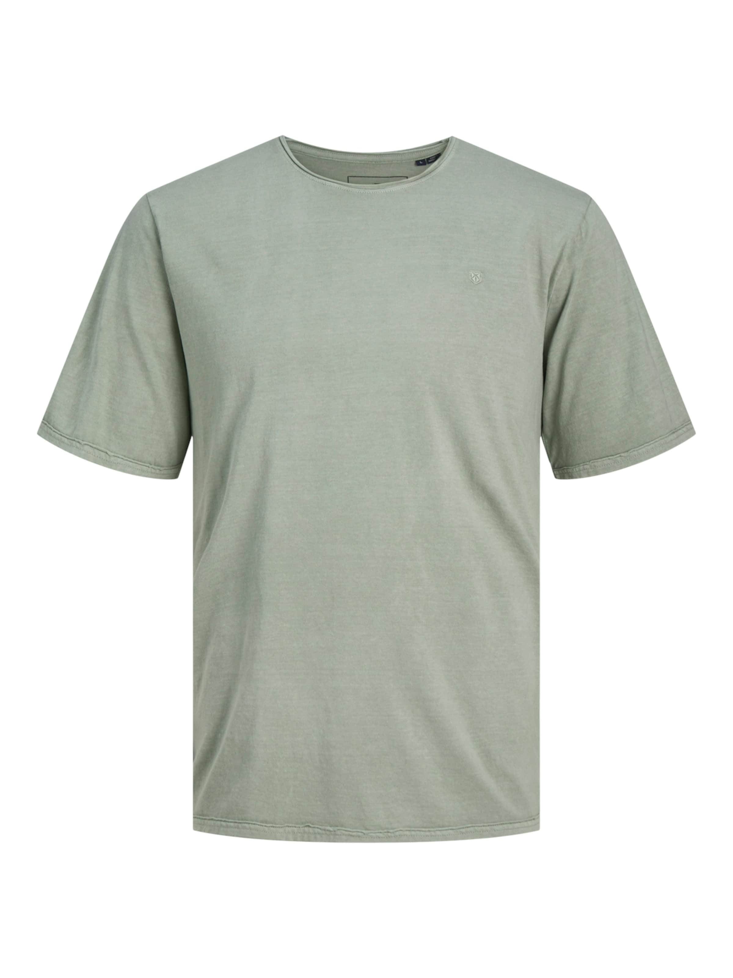 Maglietta 'JPRBlurydes' di JACK & JONES in verde: frontale