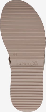 CAPRICE Pantolette in Beige