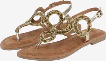 Sandales à lanières LAZAMANI en or