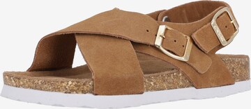 Cruz Sandals 'Peit' in Brown: front