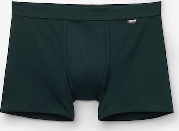 INTIMISSIMI Boxer in Grün: Vorderseite