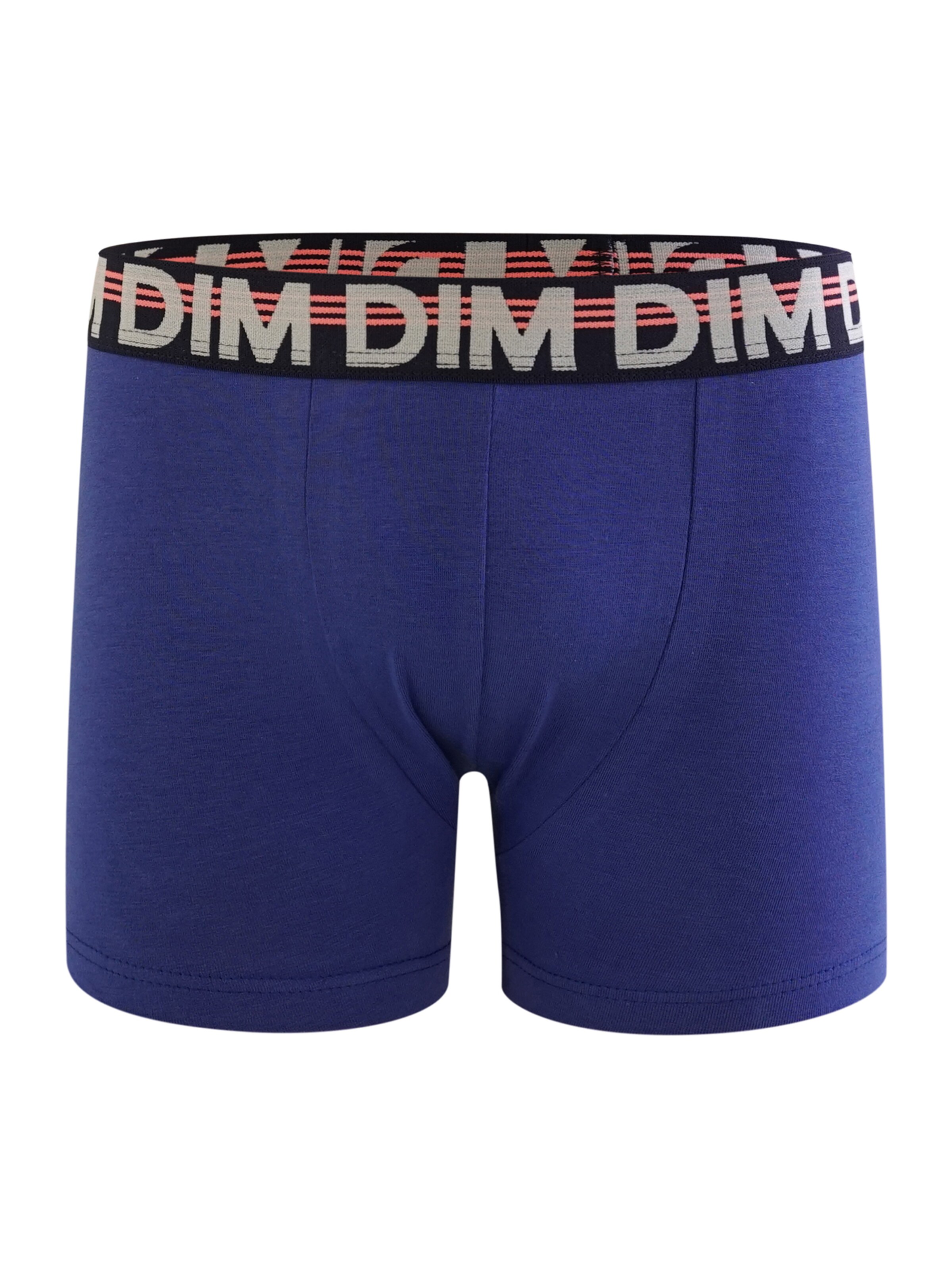 DIM Unterhose in Blau