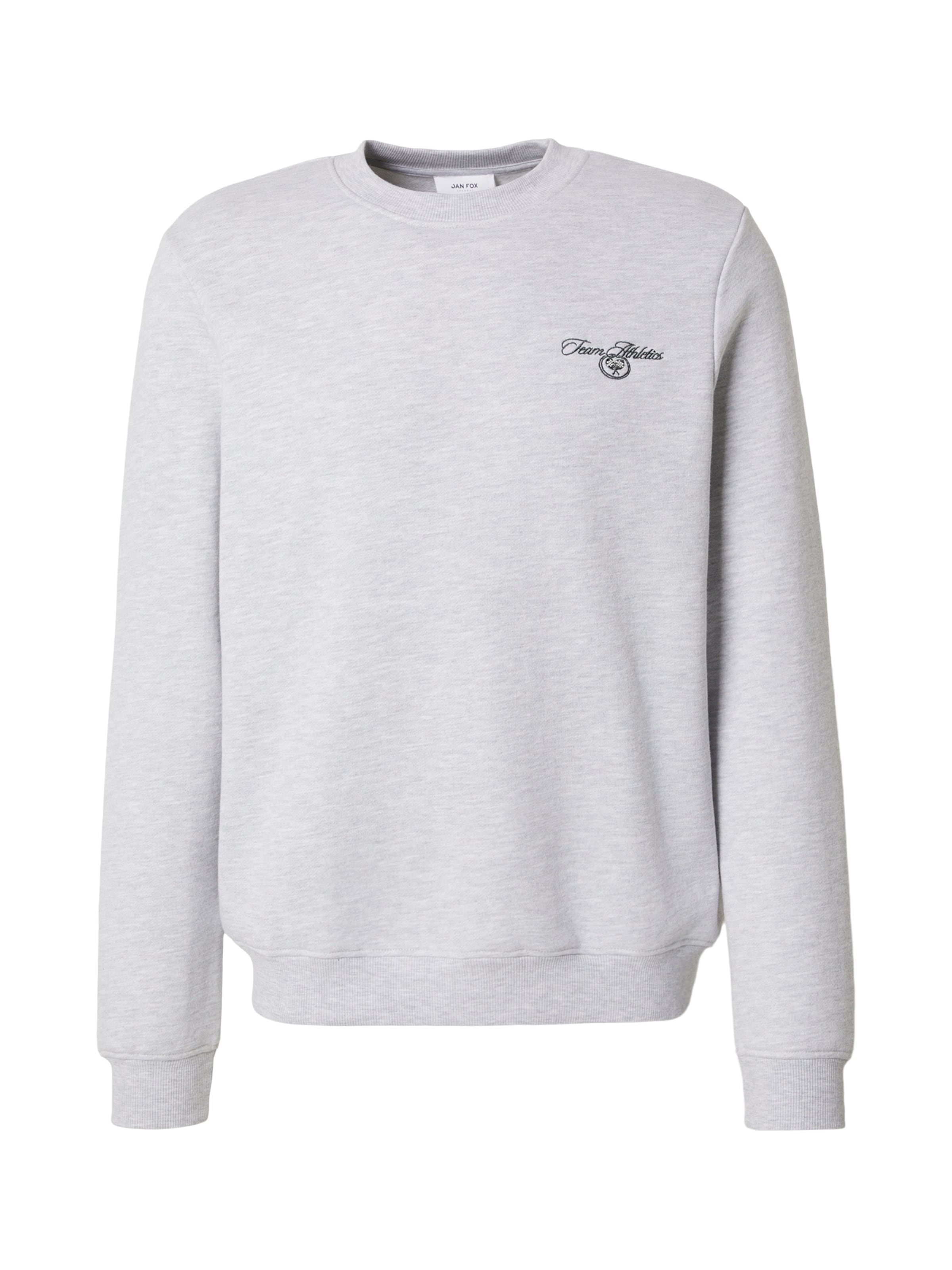 DAN FOX APPAREL Sweatshirt 'Cem' i S i grå, Produktvisning