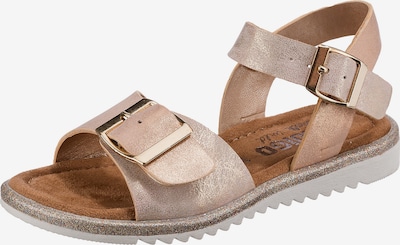 INDIGO Sandals in Beige / Gold / Pink / White, Item view