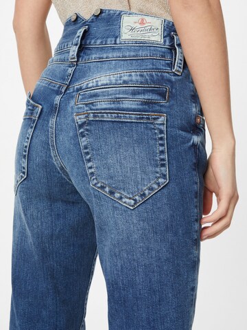 Herrlicher Regular Jeans in Blauw