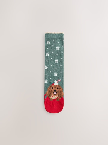 Next Socken in Beige