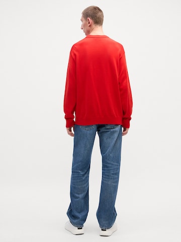 Calvin Klein Jeans Свитер в Красный: сзади
