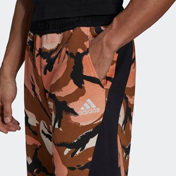 ADIDAS SPORTSWEAR Regular Boardshorts in Orange