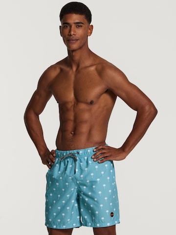 Shorts de bain Shiwi en bleu : devant