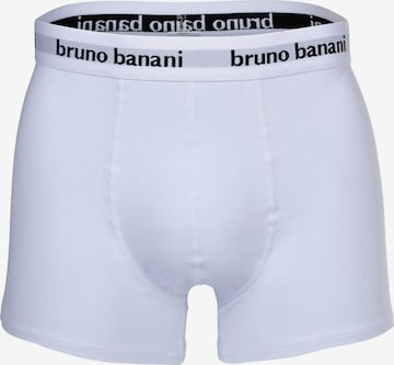 BRUNO BANANI Boxershorts in Blau