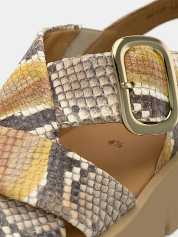 GABOR Sandaal in Gemengde kleuren