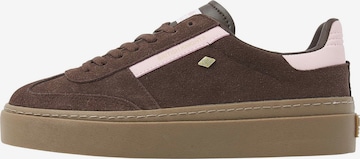 Baskets basses ' RE-ISSUE ' BRITISH KNIGHTS en marron : devant