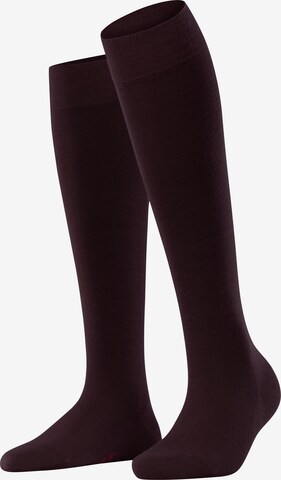 FALKE Knee High Socks 'Softmerino' in Red: front