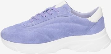 SIOUX Sneakers ' Liranka ' in Purple