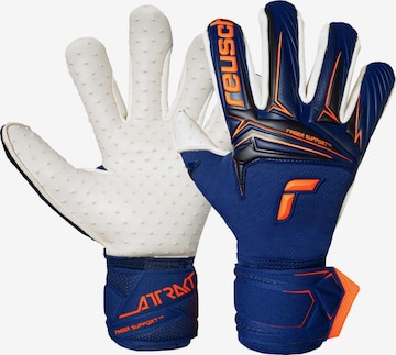 REUSCH Torwarthandschuhe 'Attrakt SpeedBump Finger Support' in Blau: Vorderseite