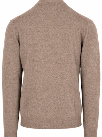 GANT Shirt in Brown