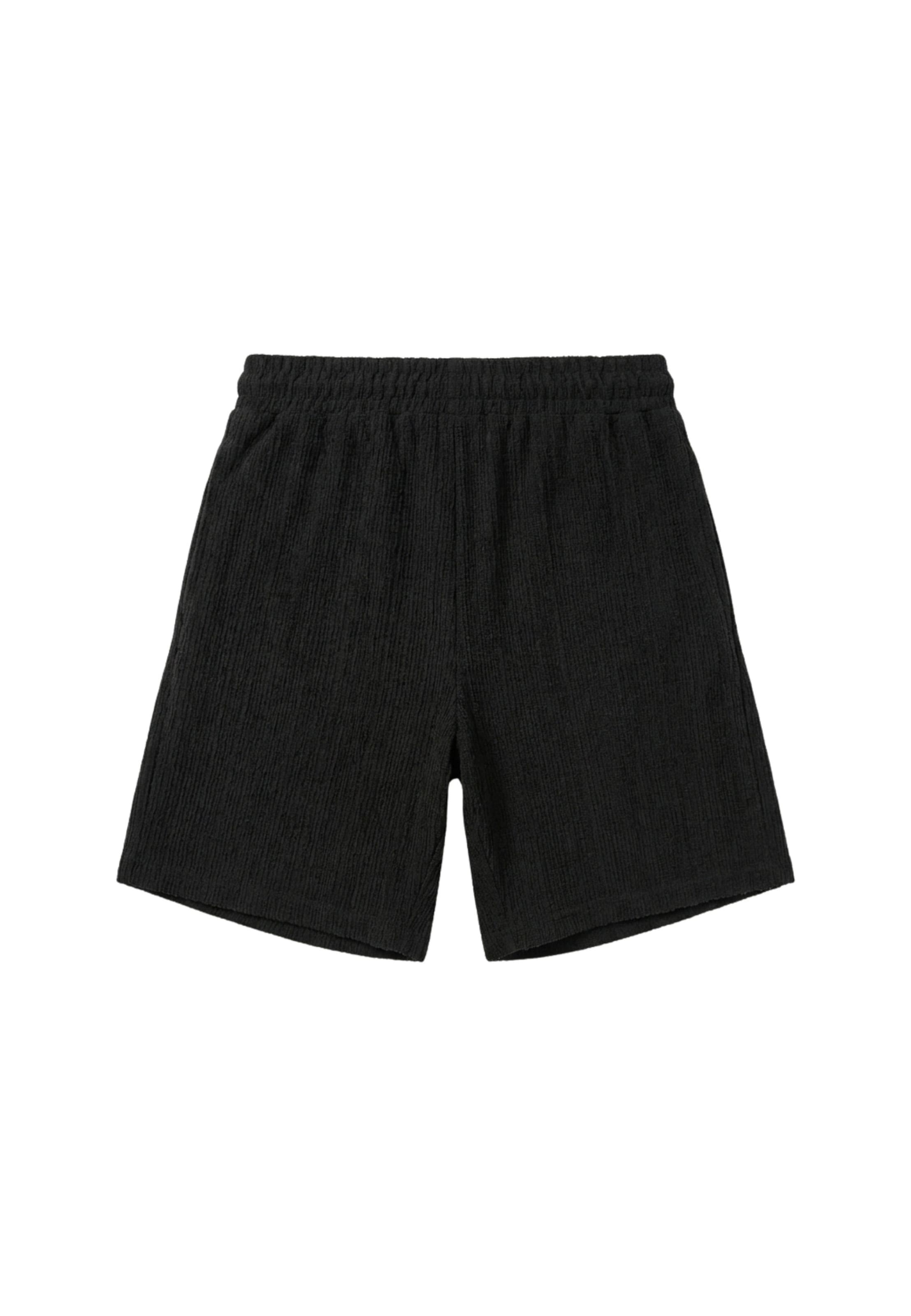 Pegador Regular Shorts 'Libco' in Schwarz