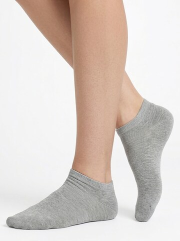 footstar Ankle Socks 'EVERYDAY!' in Grey