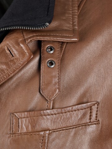 JCC Tussenjas '3102236' in Bruin