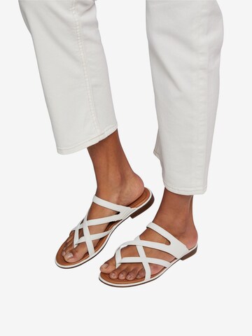 ESPRIT T-Bar Sandals in White