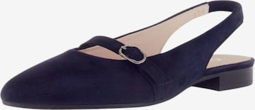Ballerina con cinturino di GABOR in blu: frontale