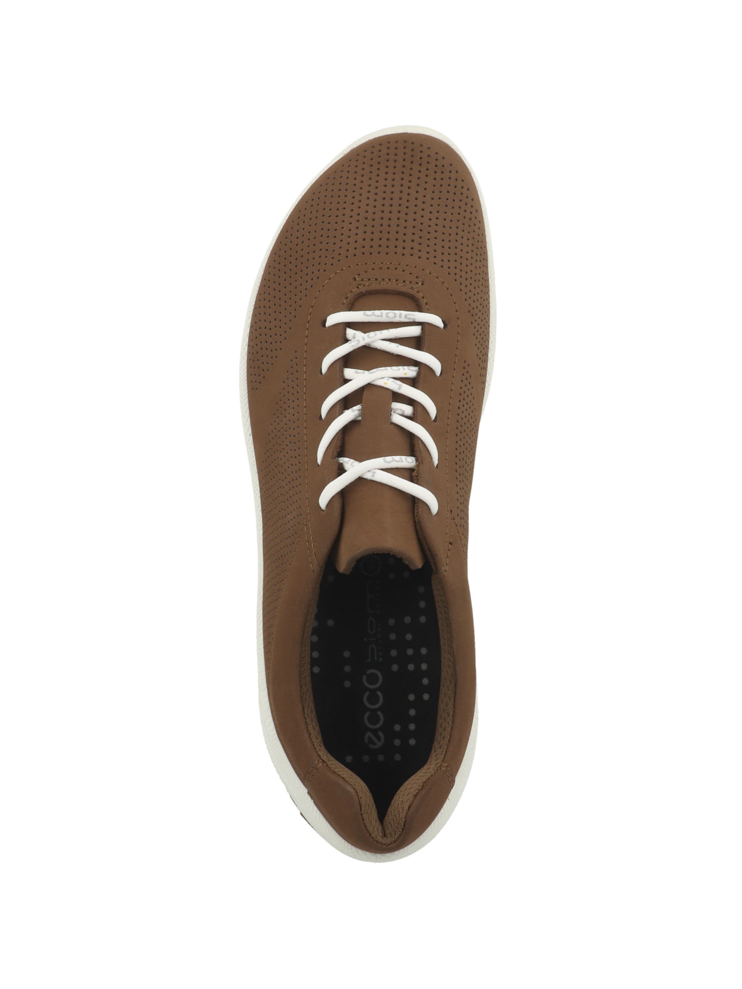 ECCO - Sapatilhas baixas 'Biom Lite' em castanho