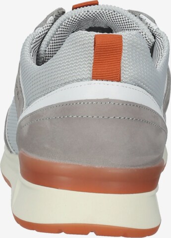 SALAMANDER Sneakers in Grey