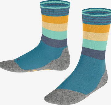 FALKE Socks 'Active Fox' in Green: front