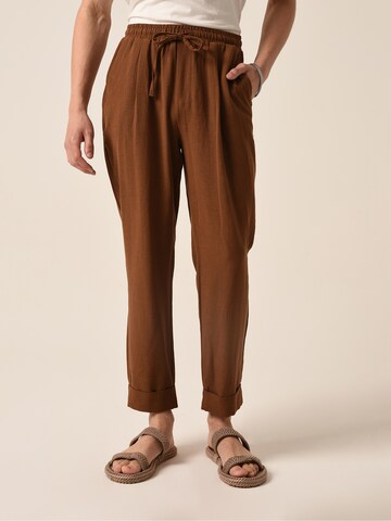 Loosefit Pantaloni di Antioch in marrone: frontale