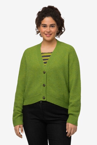 Ulla Popken Knit Cardigan in Green: front