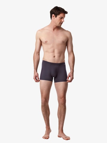Blackspade Boxershorts in Grijs