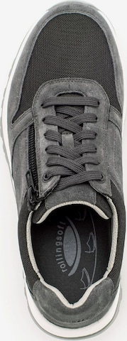 Pius Gabor Sneakers in Grey