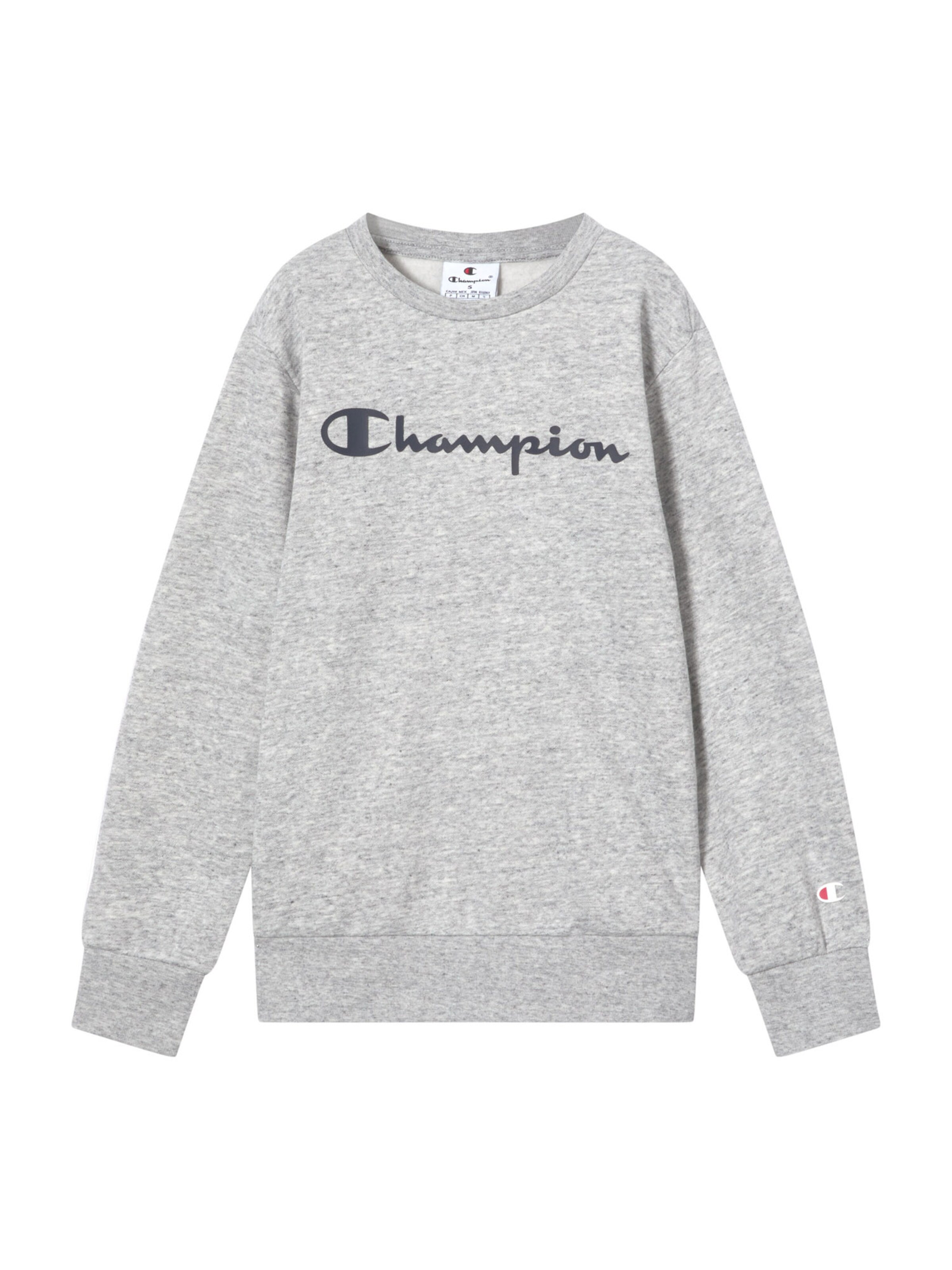Felpa di Champion Authentic Athletic Apparel in grigio: frontale