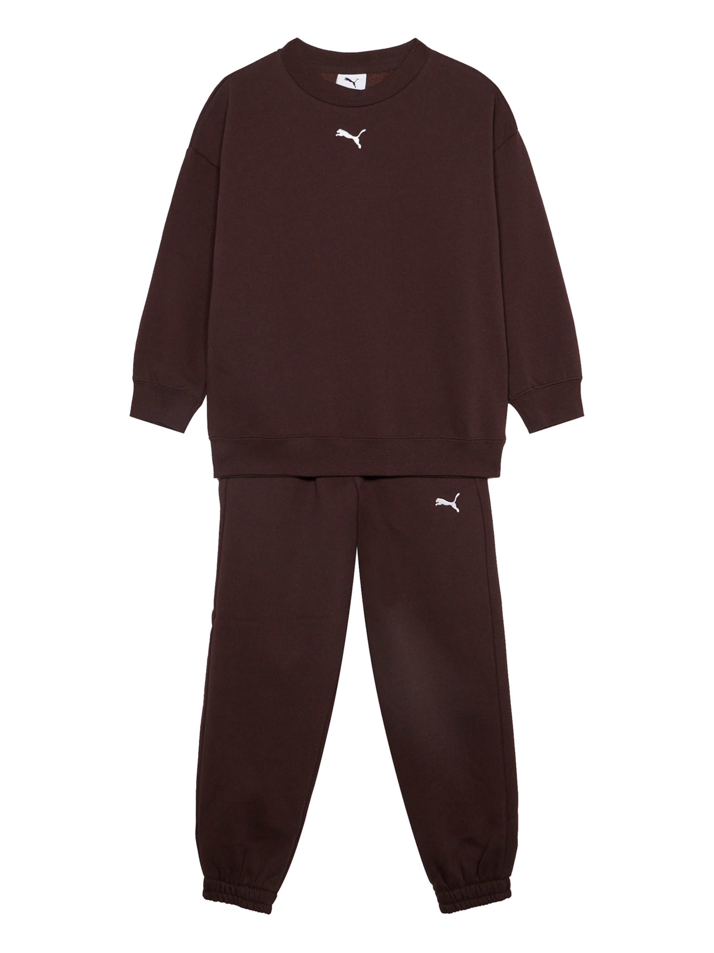 PUMA Sweatsuit 'Ess No.1' in Brown: front