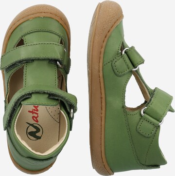 NATURINO First-Step Shoes 'Puffy' in Green